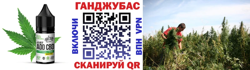 Cannafood марихуана  купить  сайты  Бавлы 