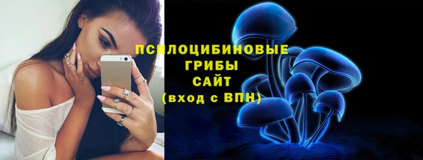 PSILOCYBIN Алексин