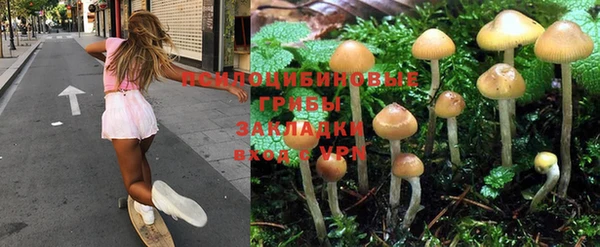 гашишное масло Алексеевка