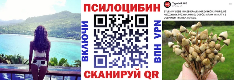 Галлюциногенные грибы Psilocybine cubensis  хочу   Бавлы 
